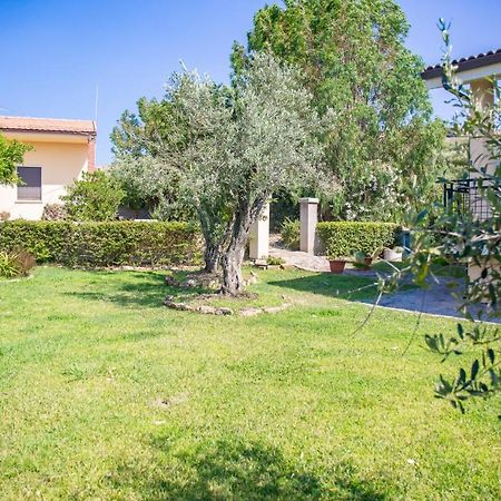 Il Giardino Degli Ulivi Bed and Breakfast Santa Maria Eksteriør billede