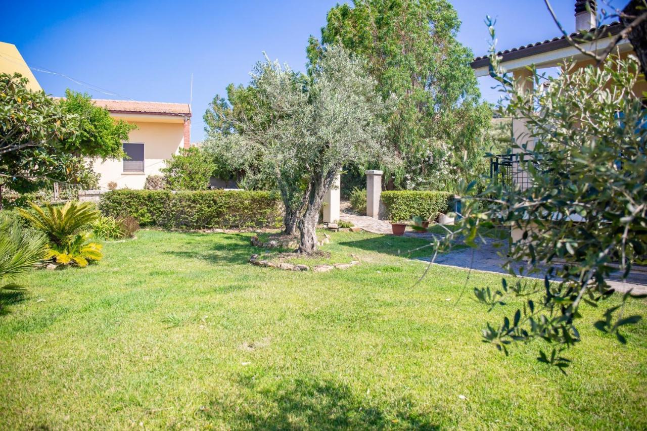 Il Giardino Degli Ulivi Bed and Breakfast Santa Maria Eksteriør billede